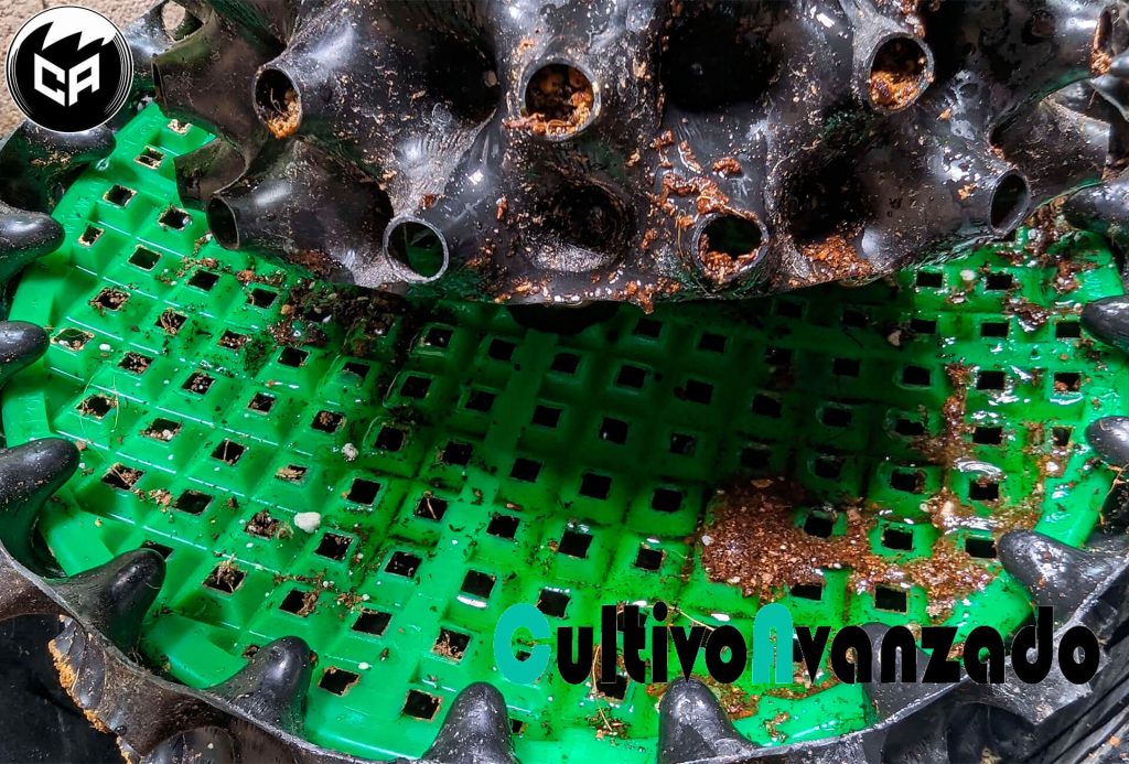 escorrentia-escorrentía-coco-marihuana