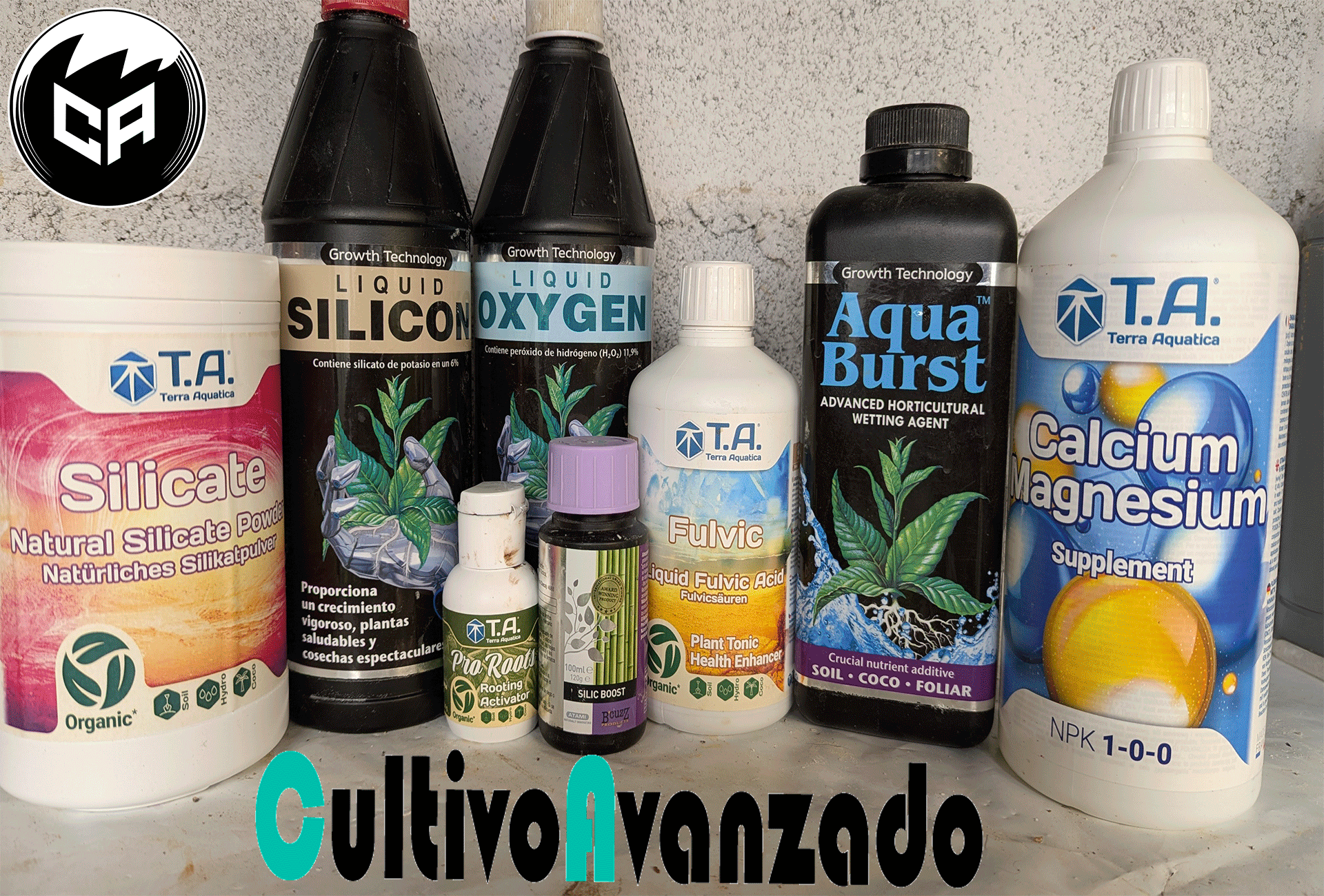 Suplementos nutricionales que recomiendo