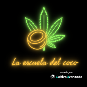 la escuela del coco