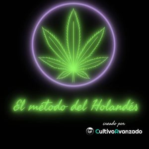 metodo holandes curso